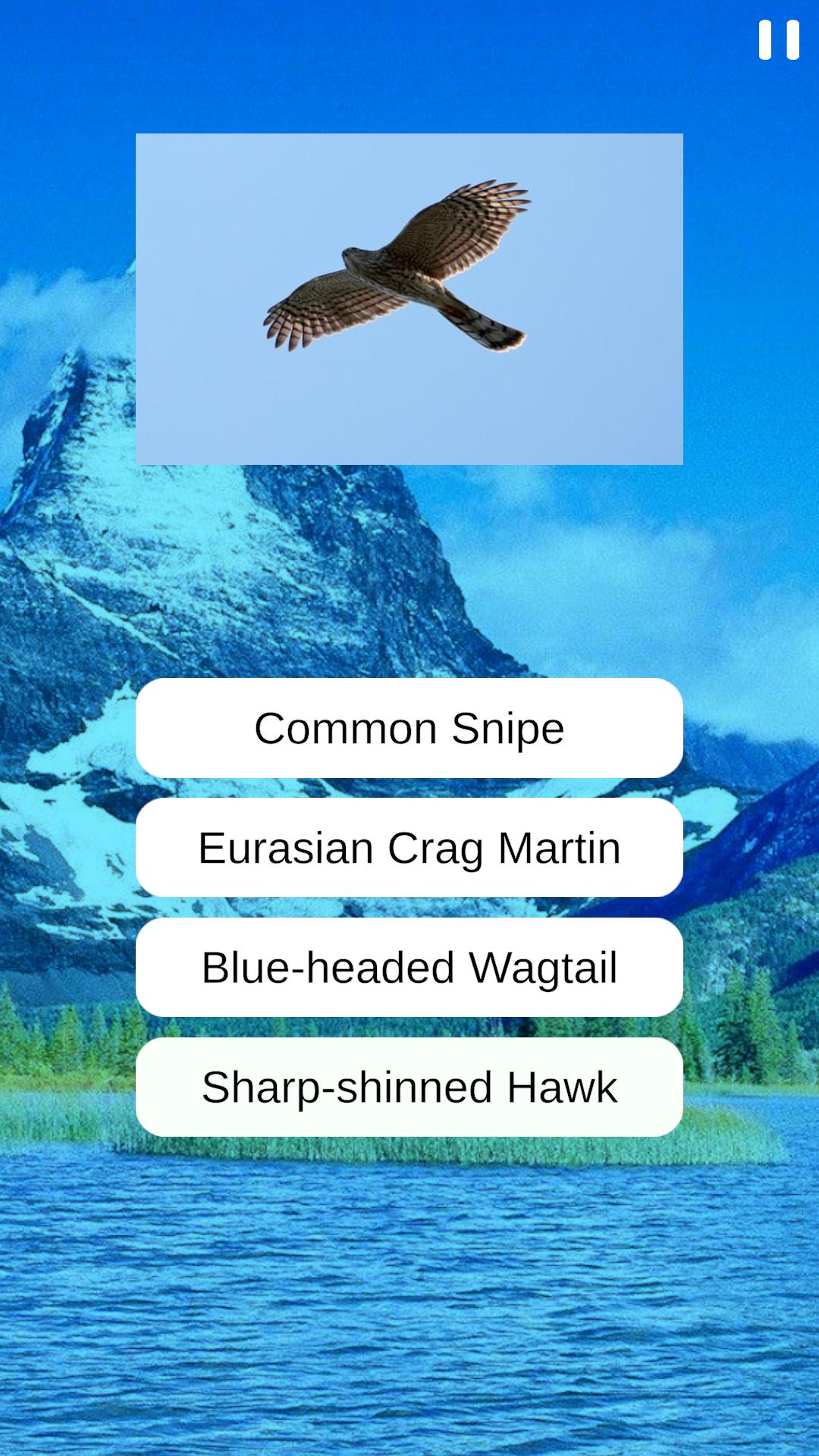 Birds Quiz  screenshots 8