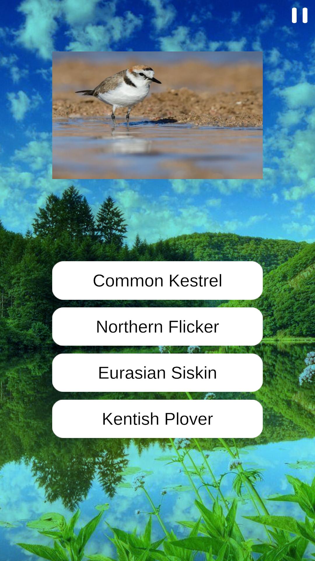 Birds Quiz  screenshots 5
