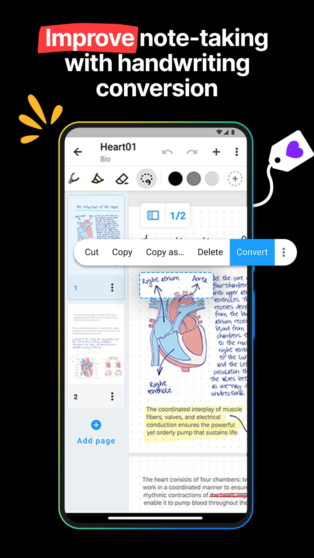 Nebo: Note Taking for Studentscapturas de tela 1