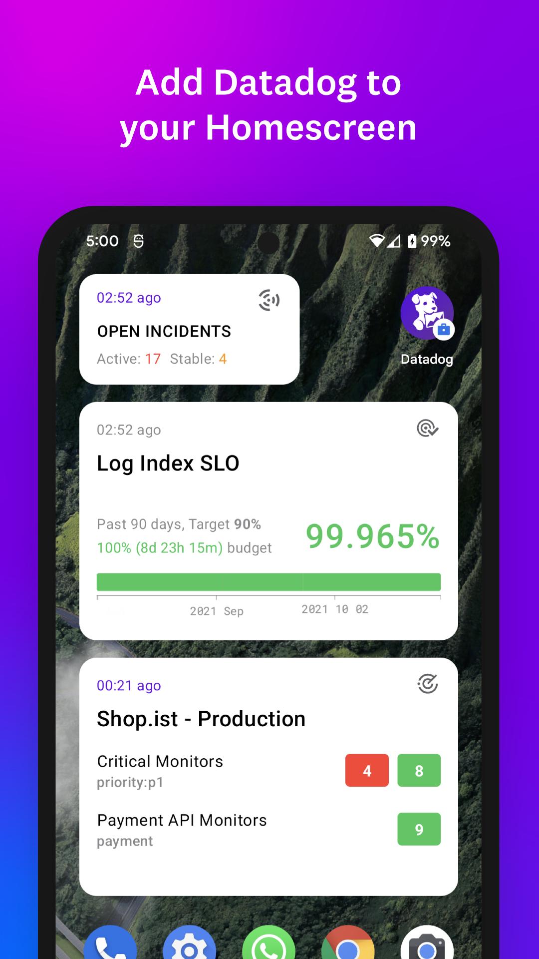 Datadog capturas de tela 3