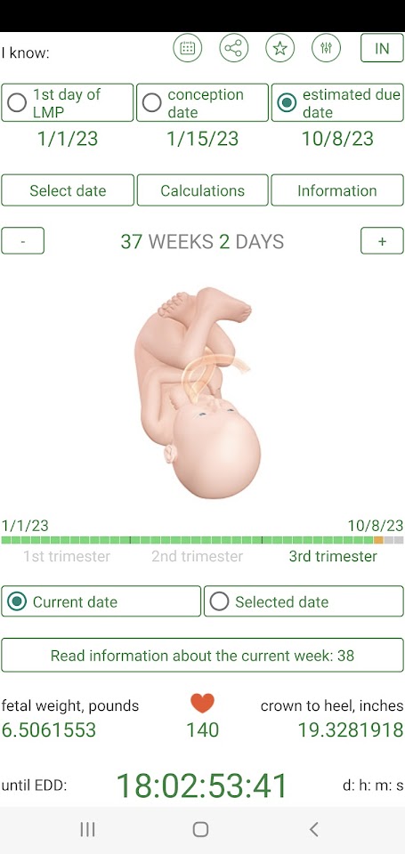 Pregnancy Due Date Calculator screenshots 19