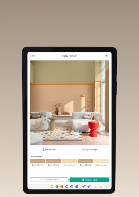 Dulux Visualizer screenshots 18