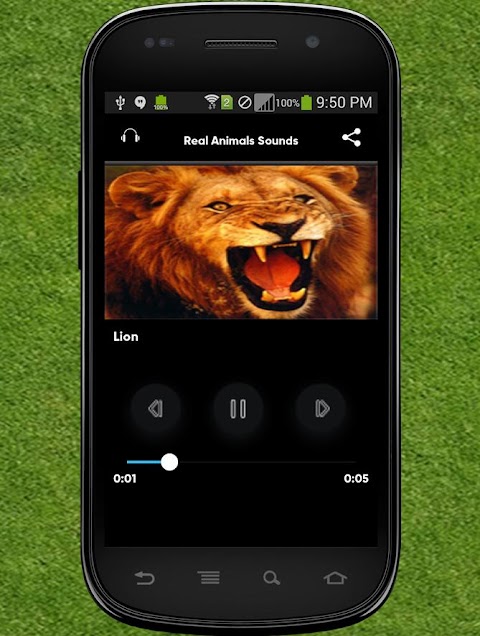 Real Animals Soundảnh chụp màn hình 4