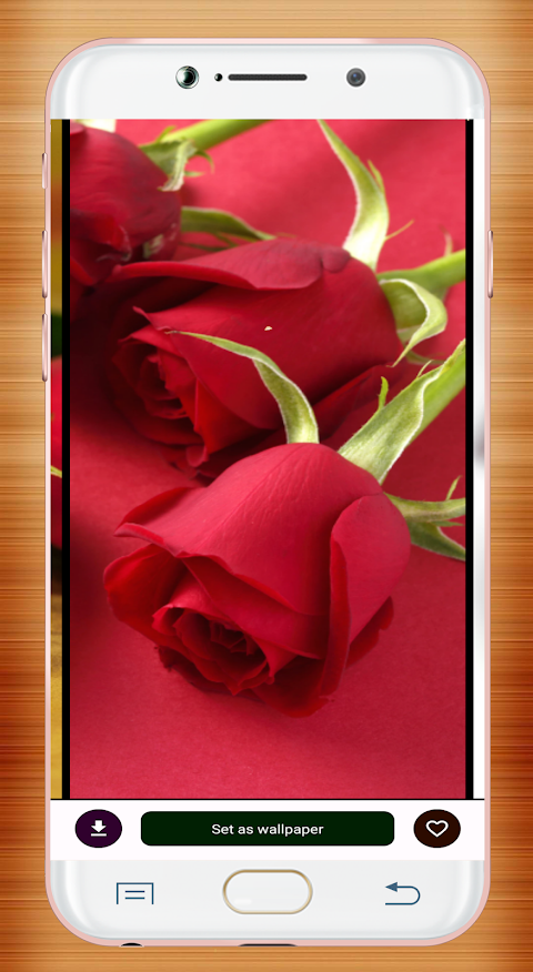 Red Rose Wallpaperảnh chụp màn hình 15