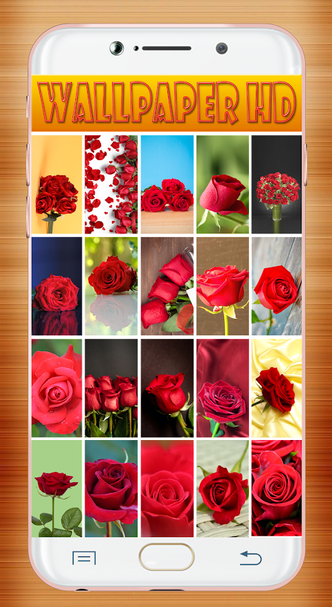 Red Rose Wallpaperảnh chụp màn hình 2