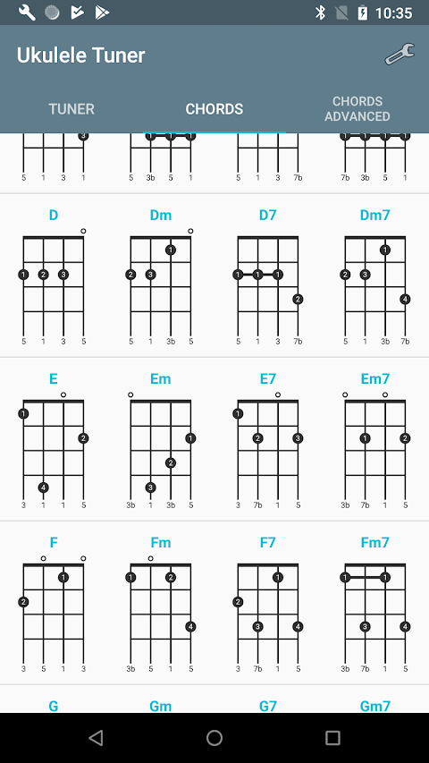 Ukulele Tunerảnh chụp màn hình 12