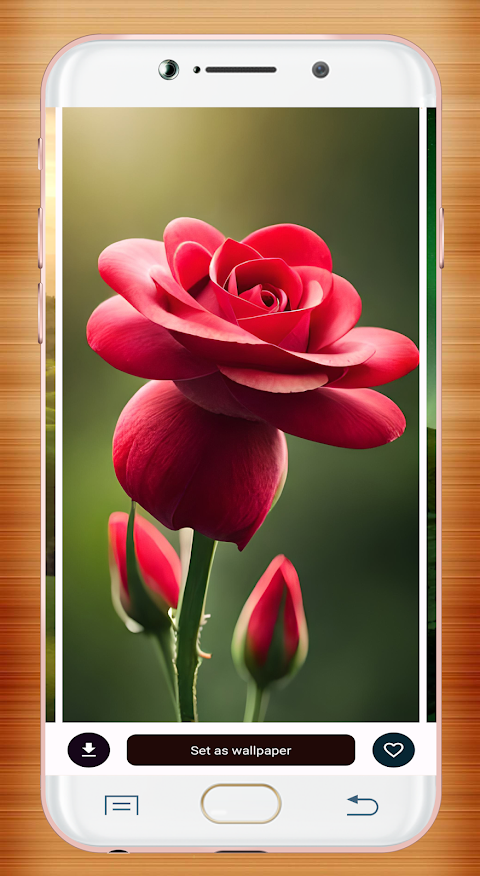 Red Rose Wallpaperảnh chụp màn hình 5